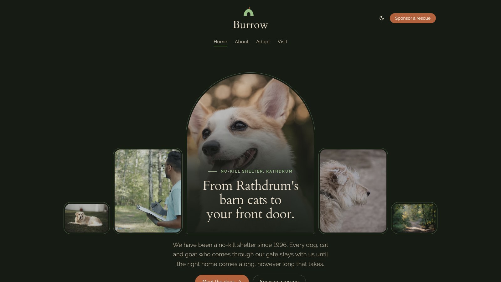Burrow screenshot 2